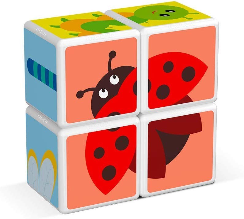 Weitere Ansicht: Geomag - Magicube - Insects