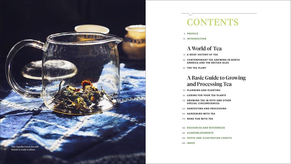 Weitere Ansicht: Grow Your Own Tea | Christine Parks, Susan M Walcott