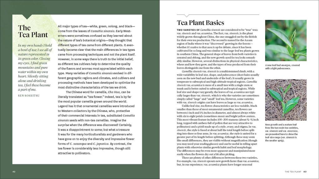 Weitere Ansicht: Grow Your Own Tea | Christine Parks, Susan M Walcott