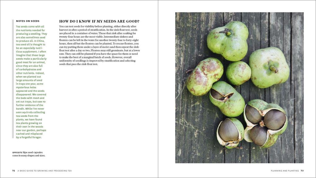 Weitere Ansicht: Grow Your Own Tea | Christine Parks, Susan M Walcott