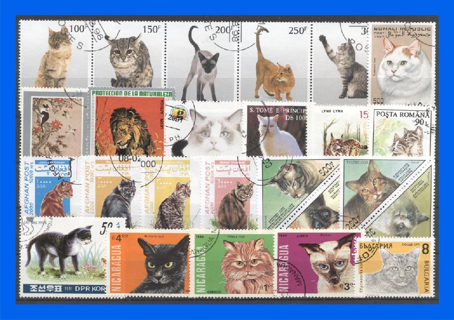 Produktbild: 50 verschiedene Briefmarken Katzen