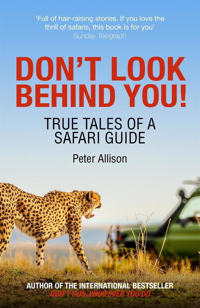 Produktbild: Don't Look Behind You! | Peter Allison