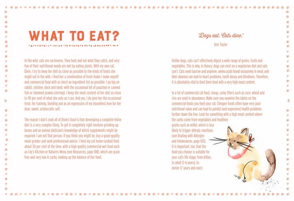 Weitere Ansicht: Cooking for Cats | Debora Robertson