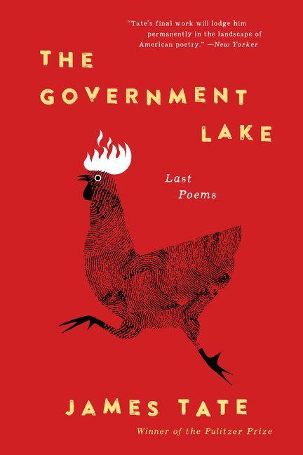 Produktbild: Government Lake, The | James Tate