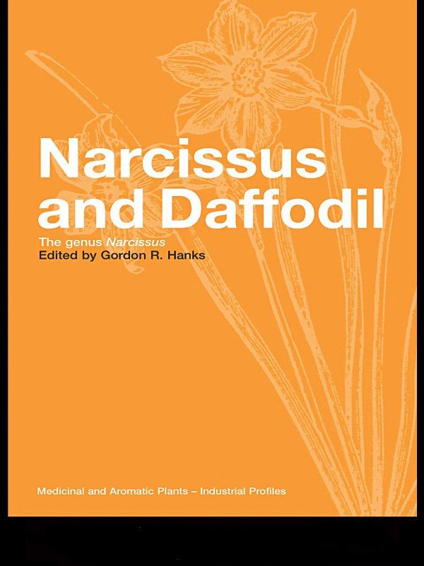 Produktbild: Narcissus and Daffodil