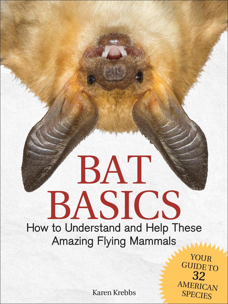 Produktbild: Bat Basics | Karen Krebbs
