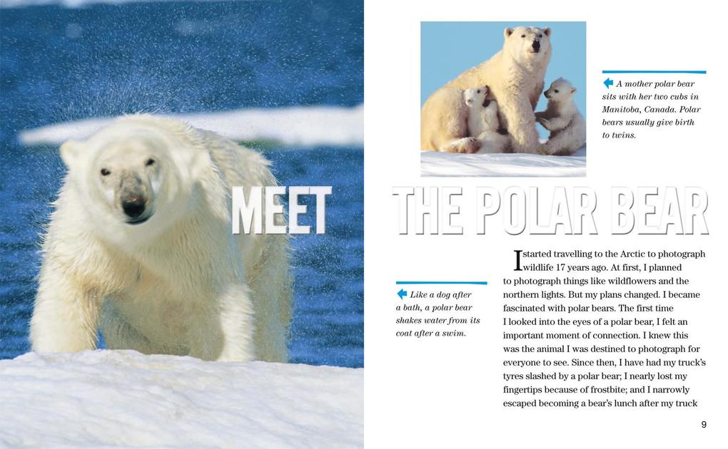 Weitere Ansicht: NAT GEO READER POLAR BEARS | Norbert Rosing, Elizabeth Carney