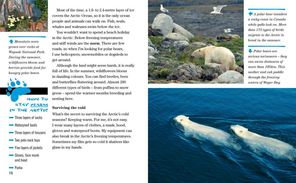 Weitere Ansicht: NAT GEO READER POLAR BEARS | Norbert Rosing, Elizabeth Carney