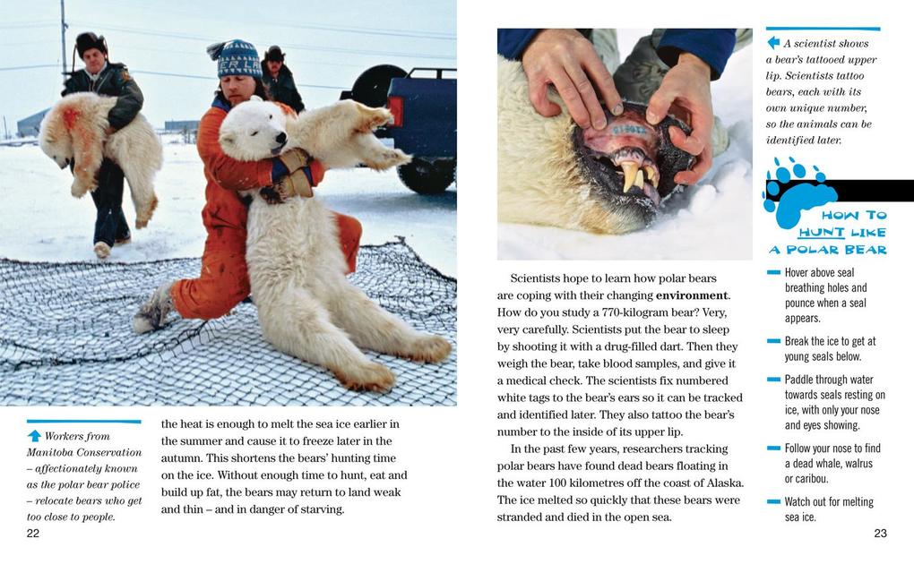 Weitere Ansicht: NAT GEO READER POLAR BEARS | Norbert Rosing, Elizabeth Carney