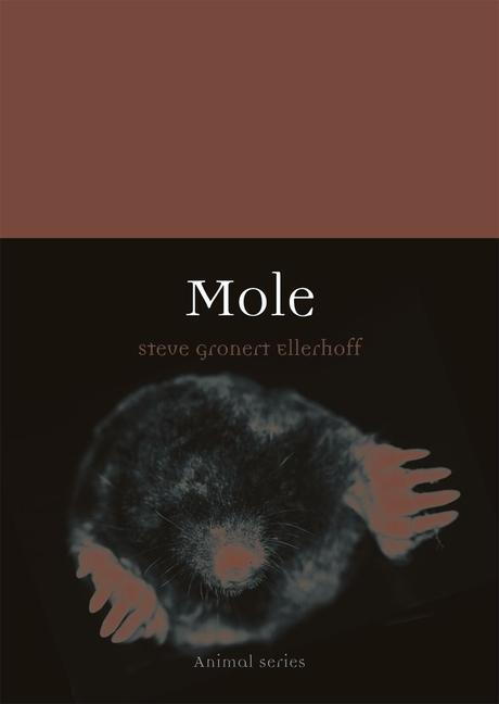 Produktbild: Mole | Steve Gronert Ellerhoff