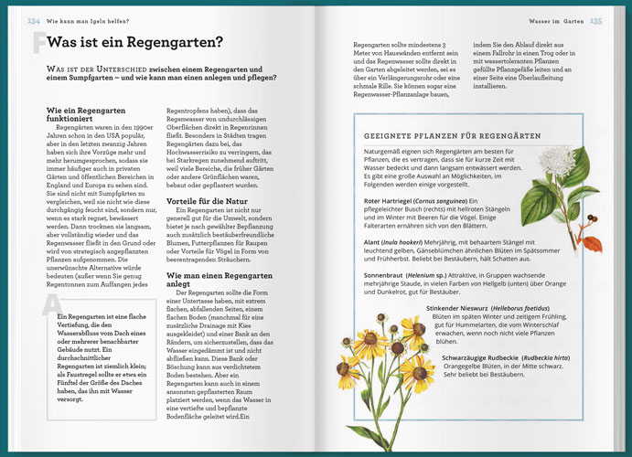 Weitere Ansicht: Können Igel schwimmen und gehen Bienen baden? | Helen Bostock, Sophie Colins, Sophie Collins