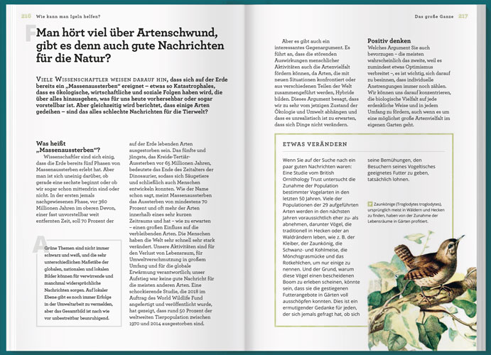 Weitere Ansicht: Können Igel schwimmen und gehen Bienen baden? | Helen Bostock, Sophie Colins, Sophie Collins