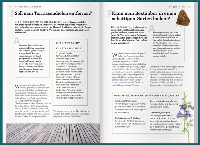 Weitere Ansicht: Können Igel schwimmen und gehen Bienen baden? | Helen Bostock, Sophie Colins, Sophie Collins