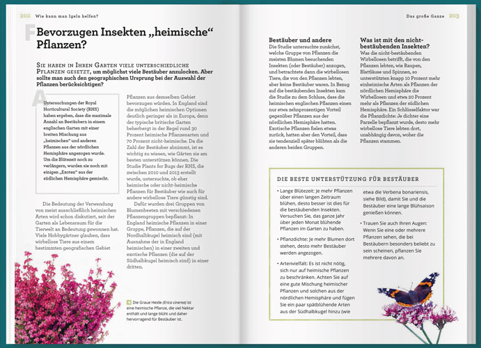 Weitere Ansicht: Können Igel schwimmen und gehen Bienen baden? | Helen Bostock, Sophie Colins, Sophie Collins