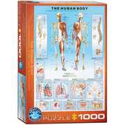 Eurographics 6000-1000 - Der menschliche Körper, Puzzle