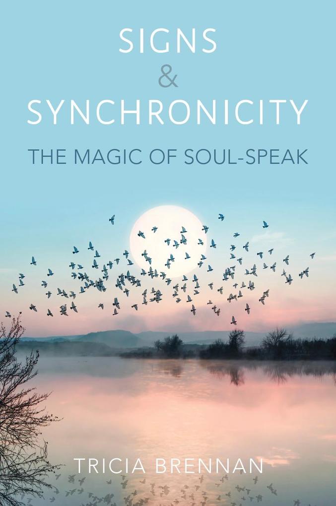 Produktbild: Signs & Synchronicity | Tricia Brennan