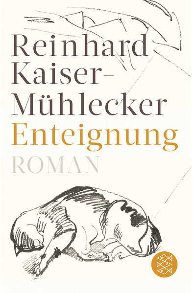 Produktbild: Enteignung | Reinhard Kaiser-Mühlecker