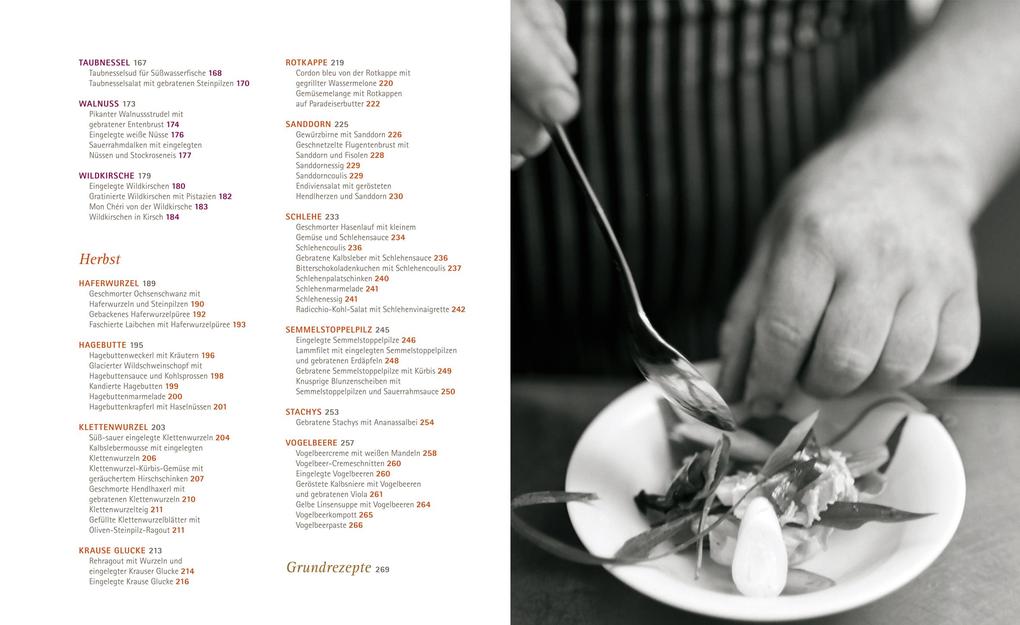 Weitere Ansicht: So schmecken Wildpflanzen | Meinrad Neunkirchner, Katharina Seiser