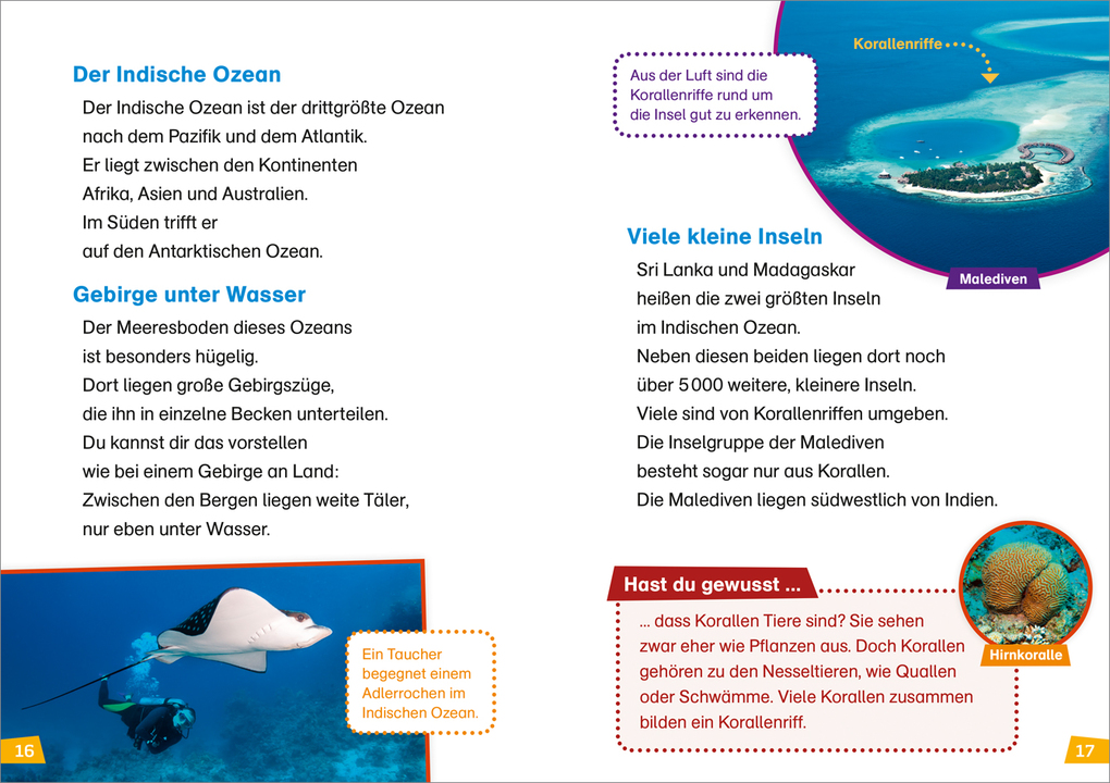 Weitere Ansicht: WAS IST WAS Erstes Lesen Band 12. Ozeane | Christina Braun