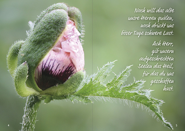 Weitere Ansicht: Von guten Mächten wunderbar geborgen | Dietrich Bonhoeffer