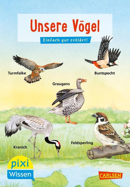Produktbild: Pixi Wissen 108: VE 5 Unsere Vögel (5 Exemplare) | Bärbel Oftring