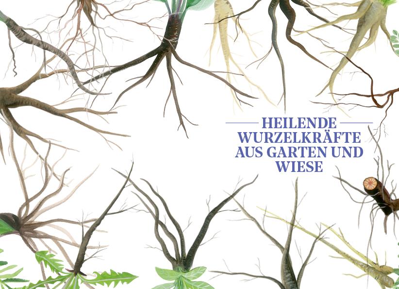 Weitere Ansicht: Die Kraft der Wurzeln | Miriam Wiegele
