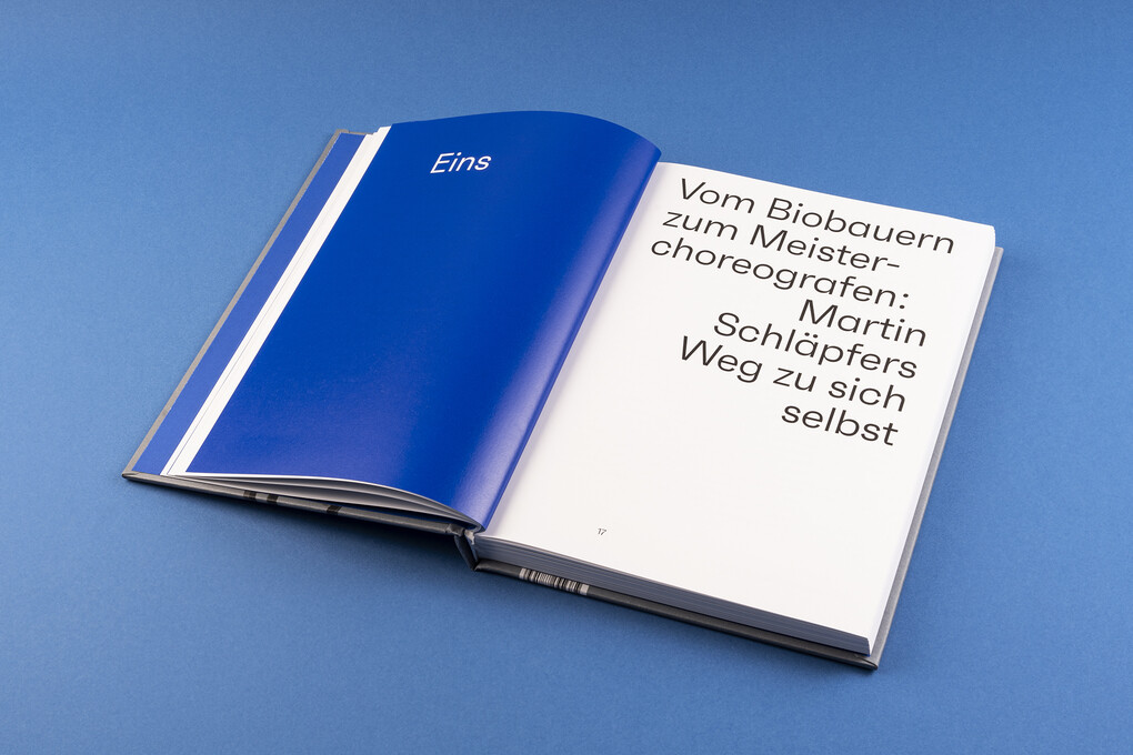 Weitere Ansicht: Mein Tanz, mein Leben | Martin Schläpfer