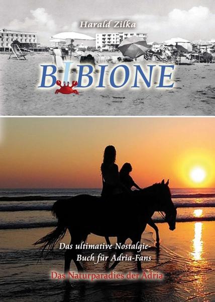 Produktbild: BIBIONE - Das ultimative Fanbuch | Harald Zilka