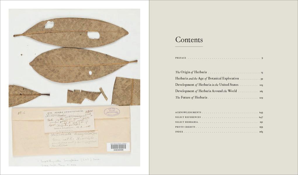 Weitere Ansicht: Herbarium | Barbara M. Thiers