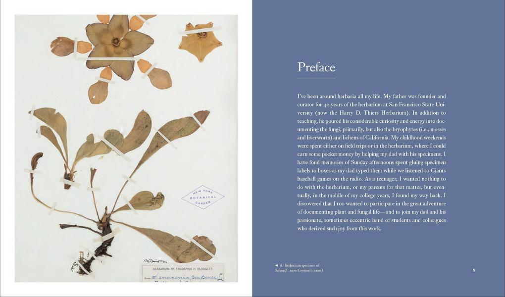 Weitere Ansicht: Herbarium | Barbara M. Thiers