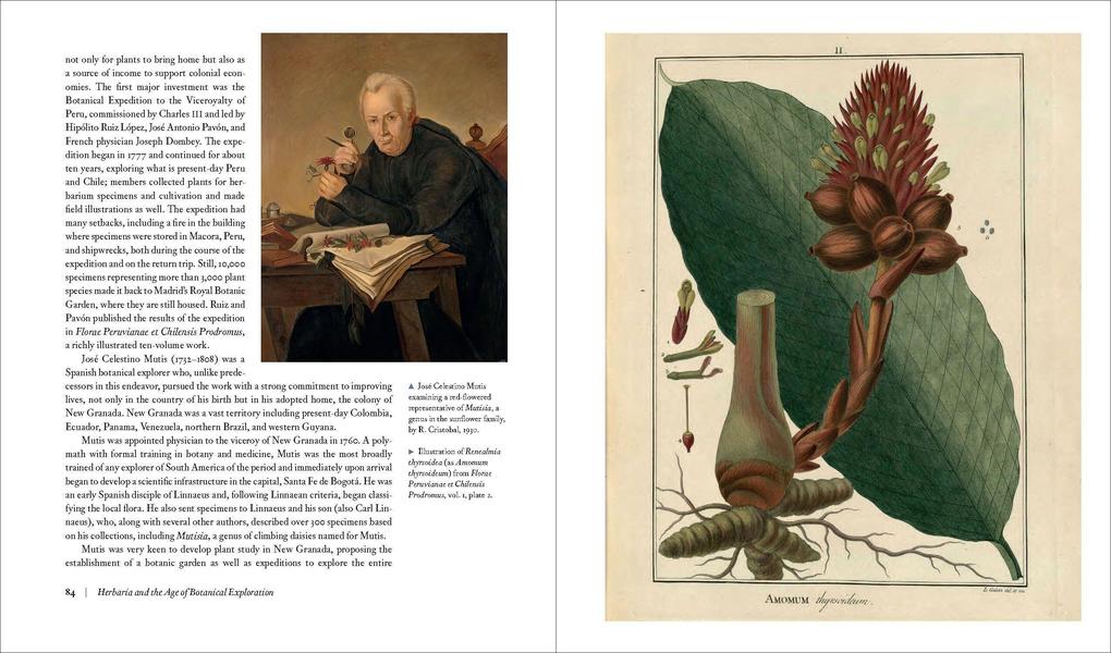 Weitere Ansicht: Herbarium | Barbara M. Thiers