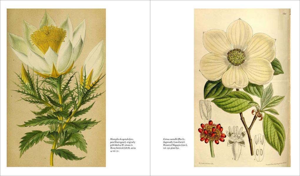 Weitere Ansicht: Herbarium | Barbara M. Thiers