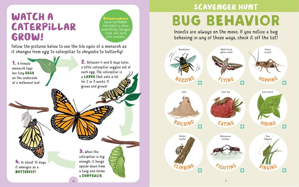 Weitere Ansicht: Backpack Explorer: Bug Hunt | Editors Of Storey Publishing