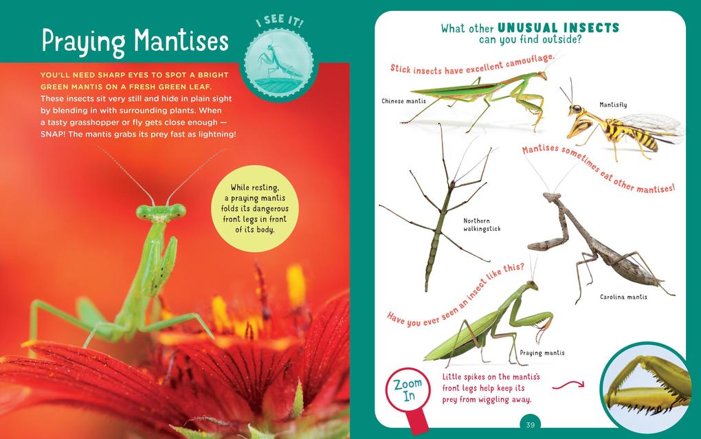 Weitere Ansicht: Backpack Explorer: Bug Hunt | Editors Of Storey Publishing