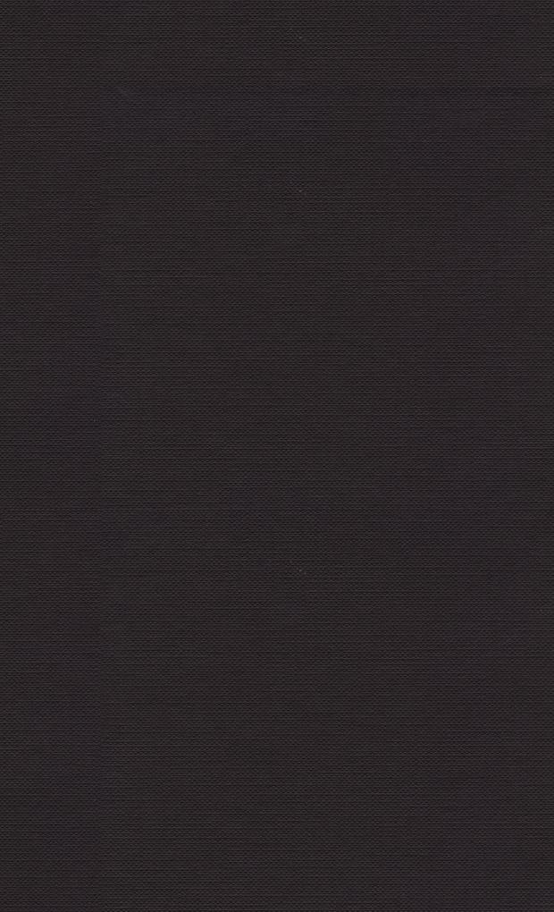 Produktbild: In the Likeness of Sinful Flesh | Thomas G. Weinandy