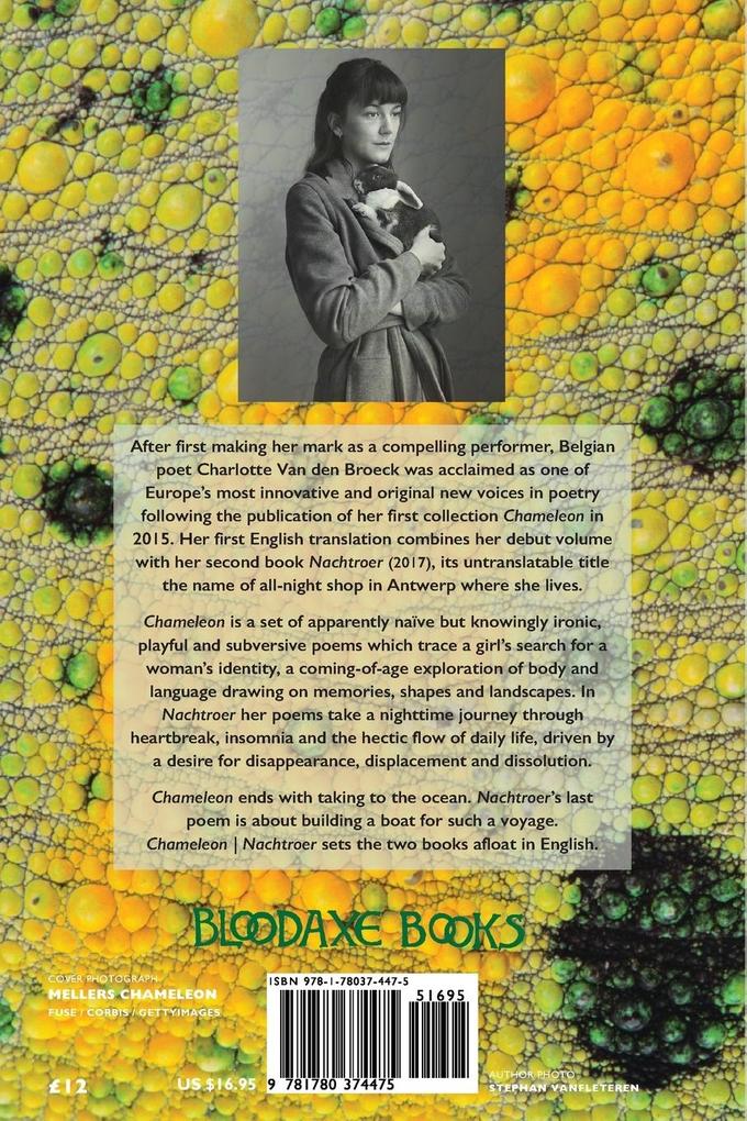 Weitere Ansicht: Chameleon / Nachtroer | Charlotte van den Broeck
