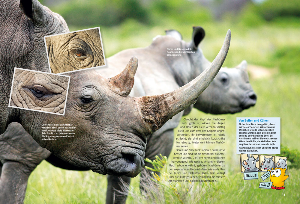 Weitere Ansicht: Entdecke die Nashörner | Thomas Wilms, Agnes Wilms