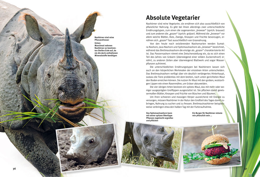 Weitere Ansicht: Entdecke die Nashörner | Thomas Wilms, Agnes Wilms