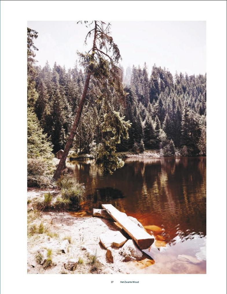Weitere Ansicht: Camper Food & Stories | Els Sirejacob
