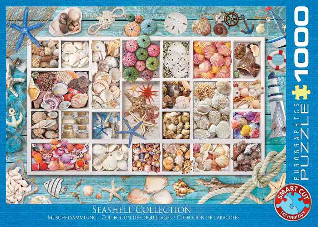 Weitere Ansicht: Muschelsammlung