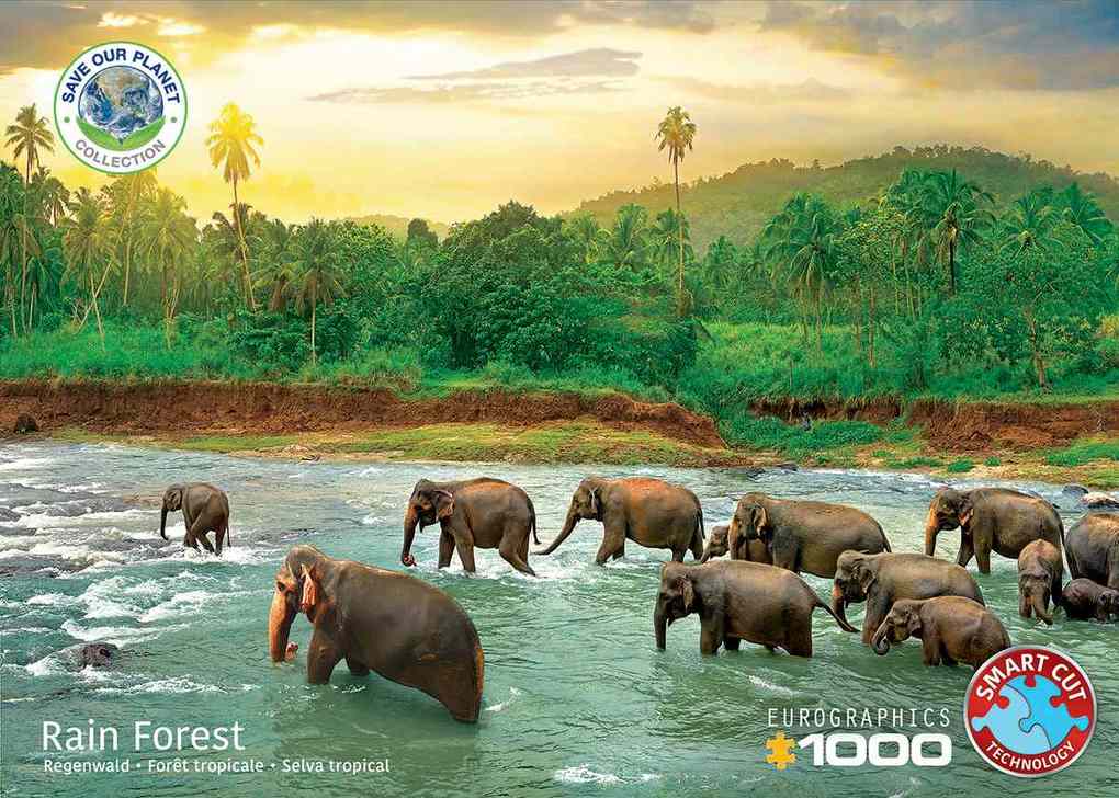 Weitere Ansicht: Regenwald