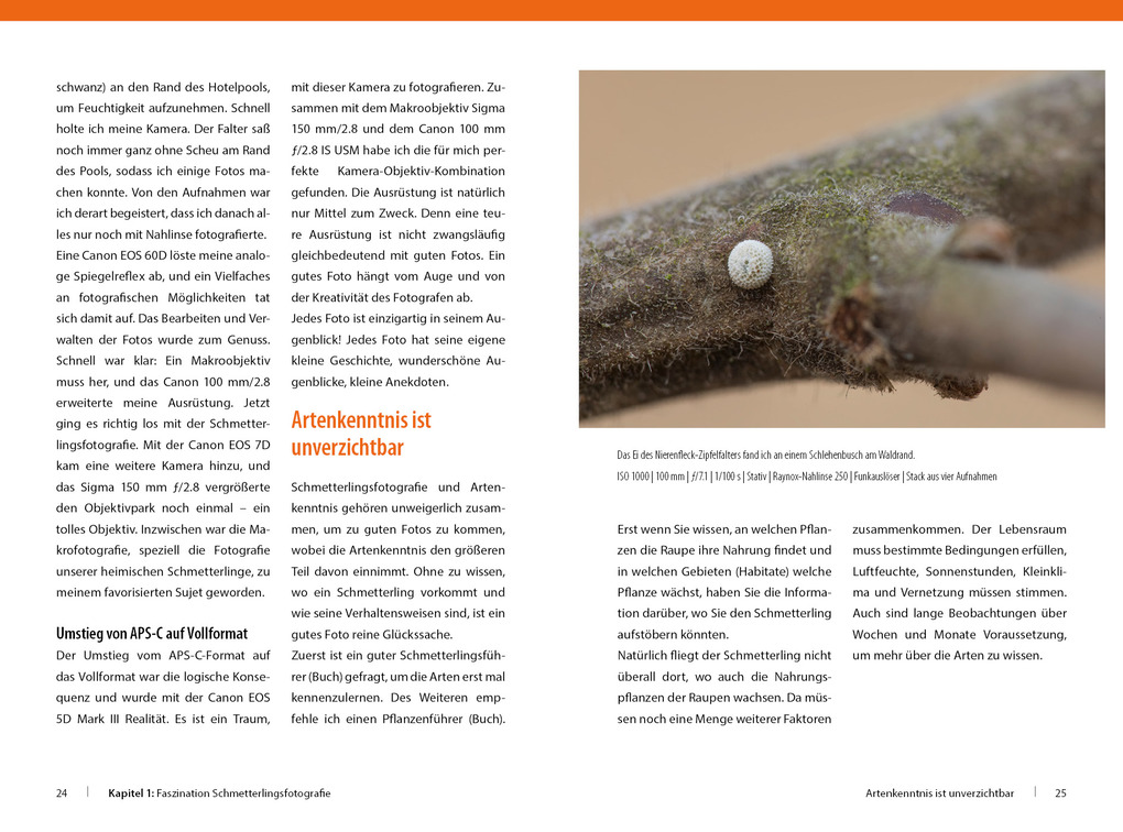 Weitere Ansicht: Schmetterlinge - so gelingen faszinierende Fotos | Andreas Kolossa