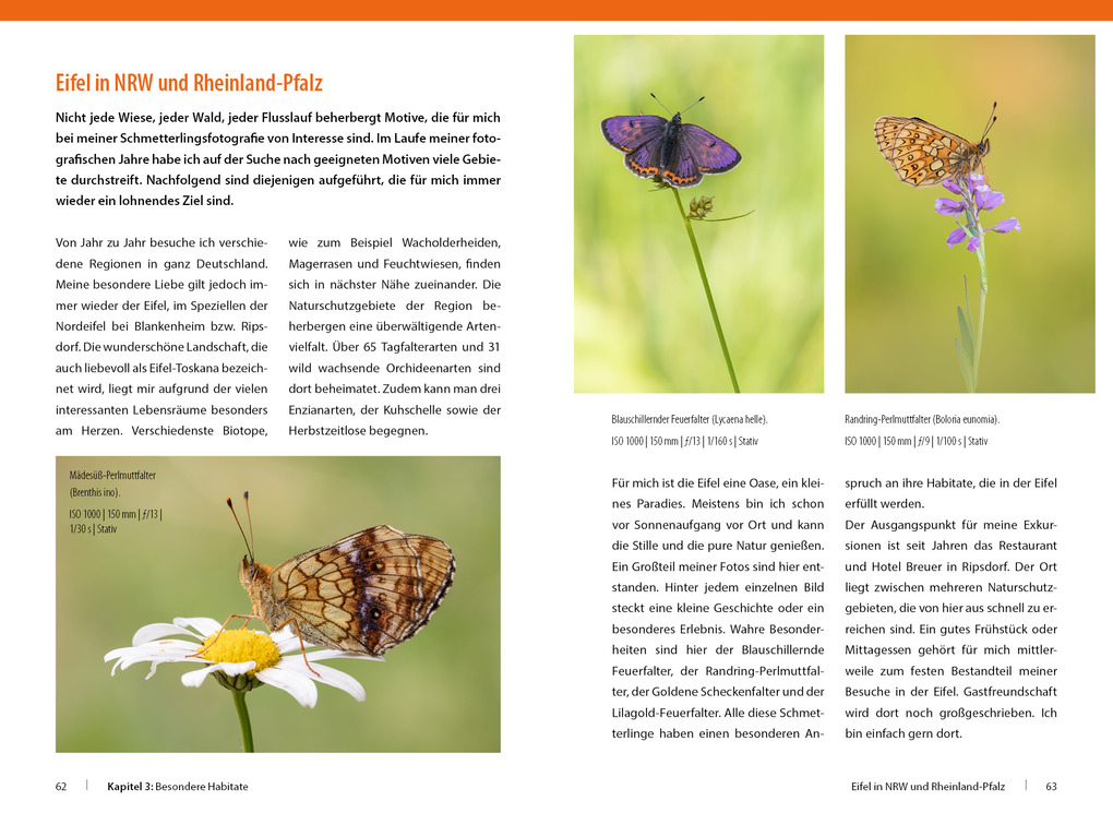 Weitere Ansicht: Schmetterlinge - so gelingen faszinierende Fotos | Andreas Kolossa