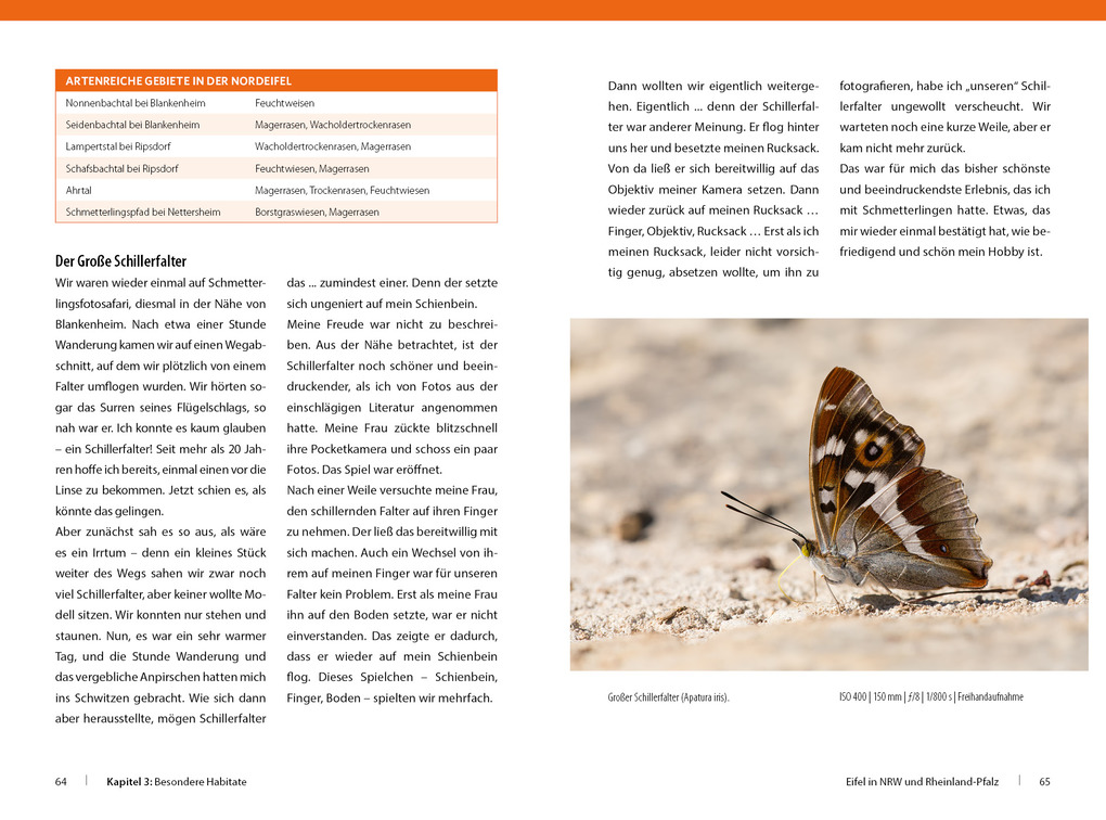 Weitere Ansicht: Schmetterlinge - so gelingen faszinierende Fotos | Andreas Kolossa
