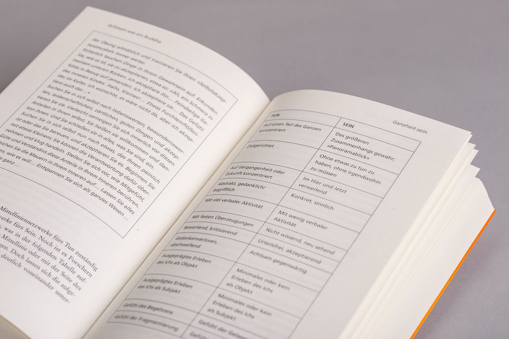 Weitere Ansicht: Achtsam wie ein Buddha | Rick Hanson