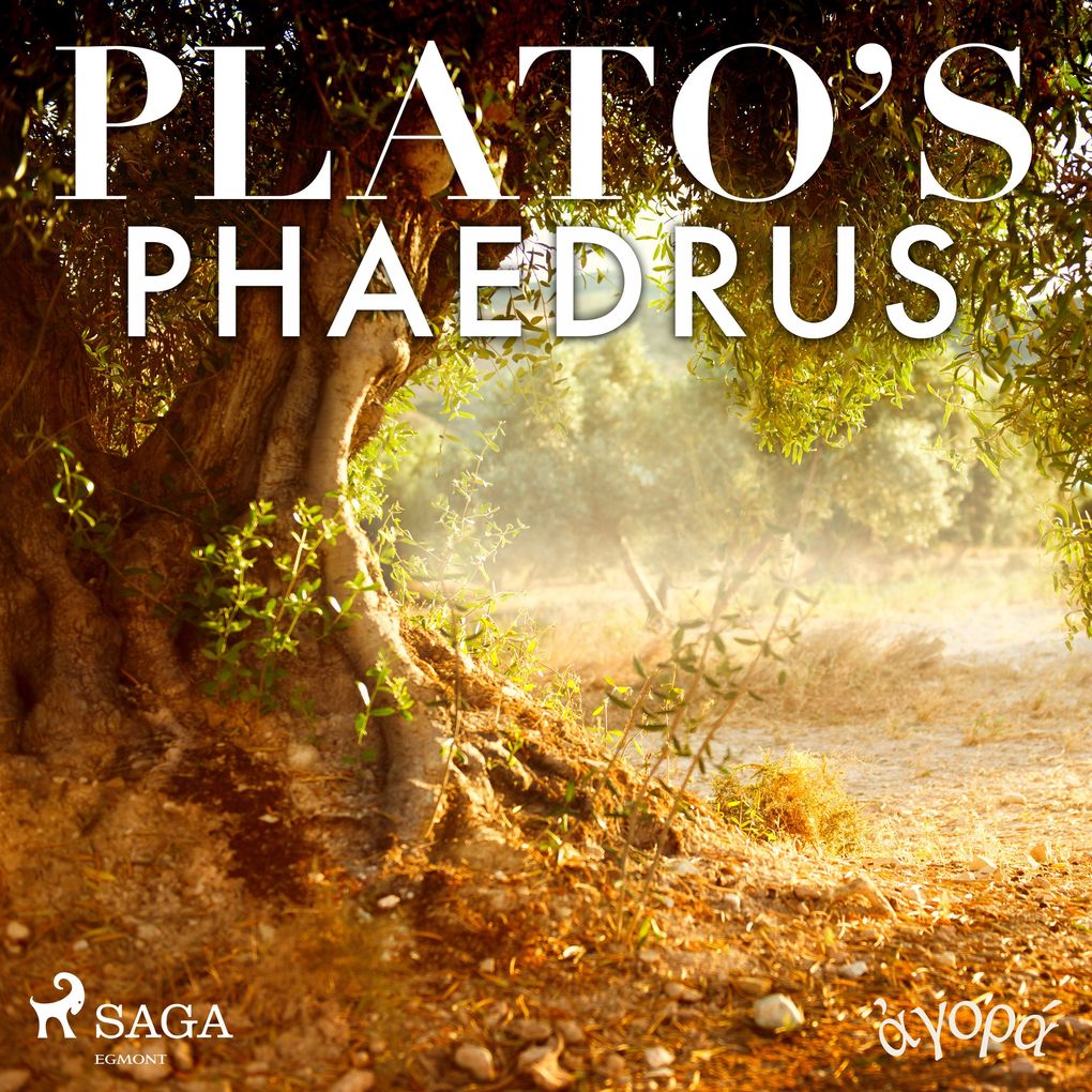 Produktbild: Plato's Phaedrus | Platon