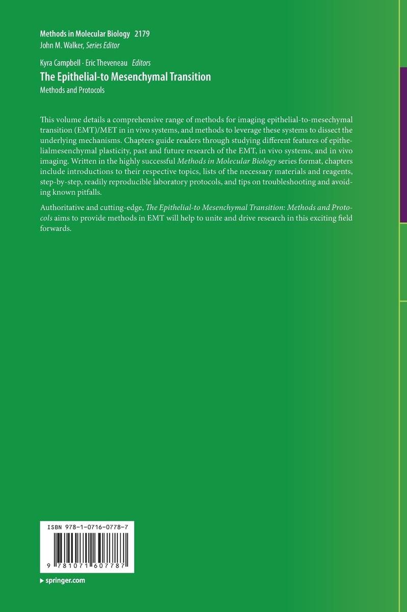 Weitere Ansicht: The Epithelial-to Mesenchymal Transition