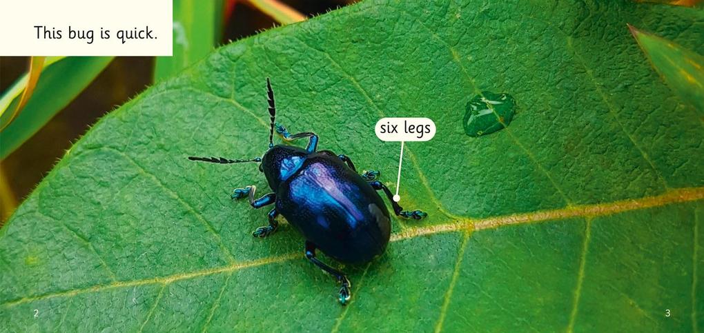 Weitere Ansicht: Buzz, Hop, Zip! | Samantha Montgomerie