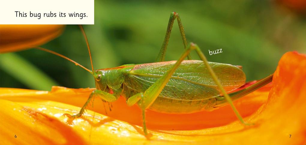 Weitere Ansicht: Buzz, Hop, Zip! | Samantha Montgomerie
