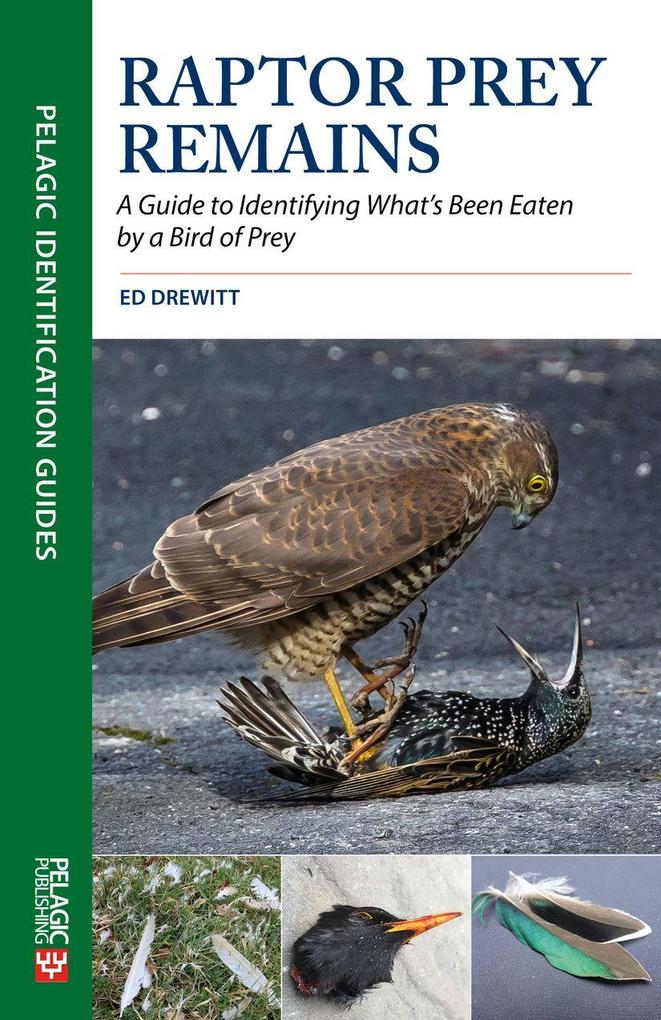 Produktbild: Raptor Prey Remains | Ed Drewitt